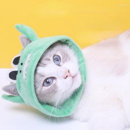 Dog Apparel Crocodile Series Pet Headgear Cute Design Japanese And Korean Cat Hat Puppy Supplies