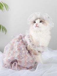 Cat Costumes Dress Princess Style Skirt Organza Fabric Is Breathable And Comfortable Sleeveless Design Does Not Affect Activity