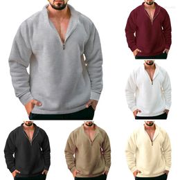 Men's Sweaters Autumn And Winter Men Casual Coat Sweater Plush Thickened Zipper Pullover Half Turtleneck Solid Color Thermal Lapel T-shirt