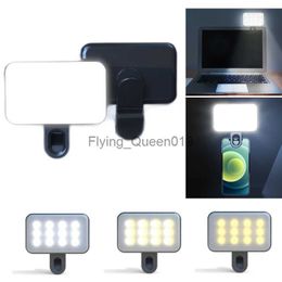 Mini Fill Light Clip-on LED Selfie Light for Phone Laptop Tablet Computer Video Conference Live Zoom Photography Makeup Lamp HKD230828