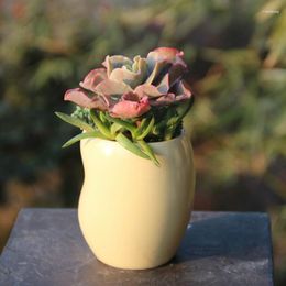 Vases Succulents Pot Ceramic Small Yellow Bean-shaped Round Creative Mini Cute Flower Succulent Planter Home Decoration