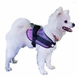 Dog Apparel Outdoor Waterproof 7 Colour Pet Cat Golden Retriever Samoyed Fibre Optic Illumination Vest Clothes Collar Built-in Battery