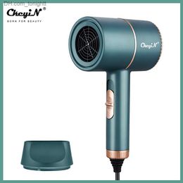 2000W Blue Anion Electric Hair Dryer Low Noise Blow Dryer Quick Hair Blowing Dryer Professional Salon Hairdryer Hot Cold Wind 31 Q230828