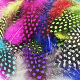 Other Hand Tools 20 PieceLot Natural Unique Polka Dot Guinea Hen Plumage Feathers for Crafts Pearl Spotted Pheasant Feathers Sewing Accessories 230828