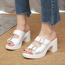 Slippers Summer 2023 Sexy Fashion Women High Heels Pumps Shoes Chunky Sandals Dress Mujer Rome Slides Flip-flops