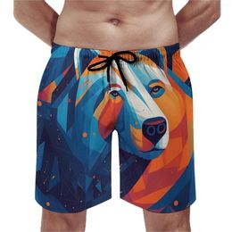 Men's Shorts Bear Board Summer Abstraction Illustration Classic Beach Male Running Surf Fast Dry Graphic Swim Trunks