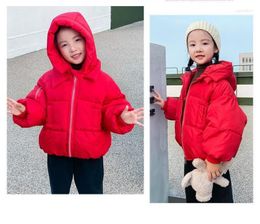 Down Coat Cute Baby Girls Jacket Kids Boys Coats Cotton Clothes Hoodie Spring Girl Infant Children's Clothing