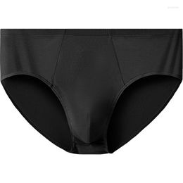 Underpants Modal Mens Briefs Plus Size Men Underwear Undies L-10XL Large Men's Breathable Panties Solid Sexy Comfortable
