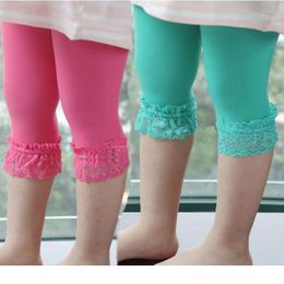 Trousers Girls Knee Length Leggings Kid Cute Tights Pants Candy Colour Children Clothing Autumn Summer Kids Legging Girl Bottom