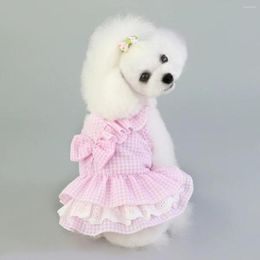 Dog Collars Manufacturers Direct Pet Summer Dress Skirt