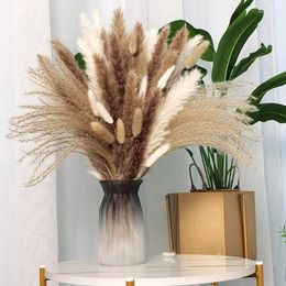 Decorative Flowers Pampas Grass Boho Home Decor Small Natural Dried Arrangements Wedding Party Bouquet Decoration