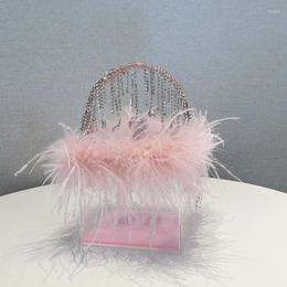 Evening Bags Transparent Acrylic Clutches Fashion Luxury Pink White Feather Rhinestone Tassel Box Bag For Women Wedding Party Handbag