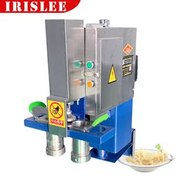 Chinese Large Scale Pasta Production Machines Electric Kitchen Pasta Noodle Maker Press Machine