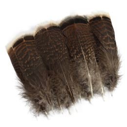 Other Hand Tools 20PcsLot Natural Pheasant Plumage Eagle Feather Decor Small Turkey Birds Feathers for Decoration Diy Carnaval Assesoires Plumes 230828
