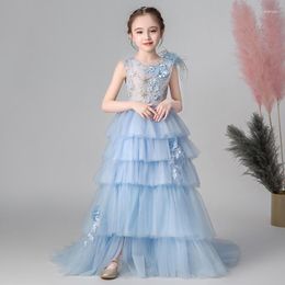 Girl Dresses Flower Illusion O-Neck Sleeveless Appliques Crystal Embroidery Princess Tulle Lace Sky Blue Kids Party Gown H660