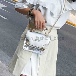 Shoulder Bags Women's Pocket Mini Wallet HandDesigner Bag Designer Transparent Black Chain caitlin_fashion_bags