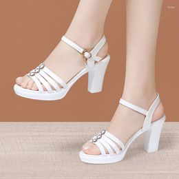 Zehen Frauen Sandalen Sommer offen für klobige High Heel White Black 479