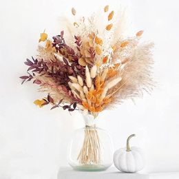 Decorative Flowers Wreaths Natural Plant Dried Pampas Grass Bouquet Boho Reed Dried Flower Wedding Scene Po Shoot Ornaments Thanksgiving Home Decoration 230828