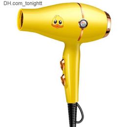 Little yellow duck high-powered blue light hair care anion constant temperature hot and cold hair dryer Q230829 Q230829