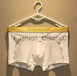 Men Transparent Gauze Sexy Ultra-thin Men Phnom Penis Panties Men's Gay Underwear Sexy Boxers x0829