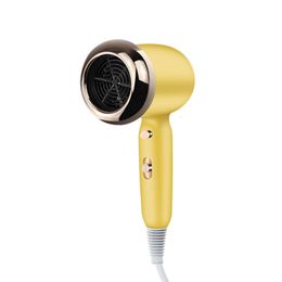 Hair Dryers Selling Household Negative Ion Electric Dryer Travel Portable Anion Blue Light Care Quick Dry 230828