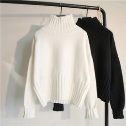 Women's Sweaters Anbenser High Quality Autumn Winter Turtleneck Sweater Women Pullover Oversized Knitted Jumpers Soft White Black