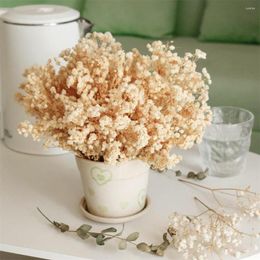 Decorative Flowers 70Pcs Mini Real Dried Baby's Breath 4000 Natural Ivory White Pressing Floral Gypsophila Bouquet For Wedding Card Making