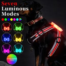 Dog Collars Leashes LED Dog Harness Pet Rechargeable Adjustable Flashing Waterproof Collar Night Anti-Lost Dog Light Harness luminous dog collar 230829