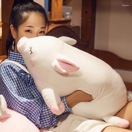 Pillow Winter Hand Covering Warmer Cute Warming Teenage Girl's Romance Doll Girl Plush Sleeping