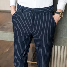 Men's Suits Vertical Striped Blue Stripe Pants Casual Summer Trend Korean Slim Loose Straight Tube Office Trousers Business Men