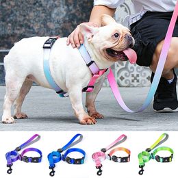 Dog Collars Leashes Designer Dog Collar Leash Harness Fashion Gradient Rainbow Colour Pet Products Chain Small Dog Medium Large Fitting Spring Summer 230829