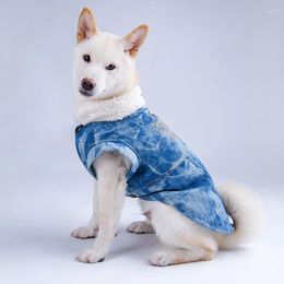 Dog Apparel Winter Coat Denim Jacket Costume Clothes Pet Clothing Puppy Chihuahua Poodle Samoyed Golden Retriever