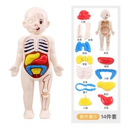 Tools Workshop 14 Piece Set Children's Science and Education Human Body Organ Model DIY Assembled Early Toys 230830