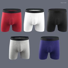 Underpants 2023 Elastic Skin Friendly Flat Angle Panties Men's High Quality Shorts Cotton Solid Colour Mid Waist Breathable Underpant