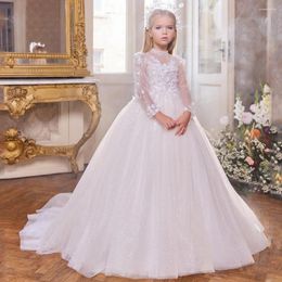 Girl Dresses Exquisite Flower Little Dress Baby Long Illusion Sleeves Beautiful Appliques Kids Evening A-line Party Gowns