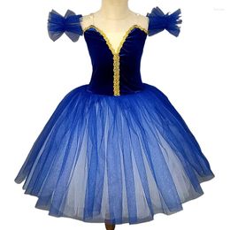 Stage Wear Girl Ballet Tutu Mesh Dress Children Performance Costume Kid's Professional Dancewear Swan Lake Dance Clothing