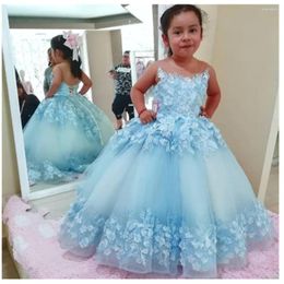 Girl Dresses Lovely Baby Flower Girls For Party3D Floral Appliques Sheer Neck Princess Birthday Pageant Communion Gown Evening Dress
