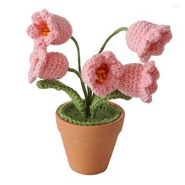 Decorative Flowers Woven Potted Plant Crochet Pot Hand-knitted Mini Pots Long-lasting Easy To Home Decoration For Office Diy