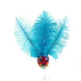 Teal Blue Natural Ostrich Feathers Decor 10-1225Cm-30Cm Party Diy Decoration Craft Headdresses Delivery Drop