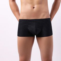 Underpants Men's Sexy Underwear See Through Breathable Mesh Boxer Shorts Transparent Stripe Underpant Comfortable Male Hombre Thin Soft