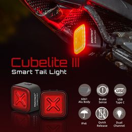 Luzes de bicicleta Enfitnix Cubelite III Luz traseira inteligente Aviso de freio de bicicleta Ultra brilhante carga USB traseira LED noite 230830