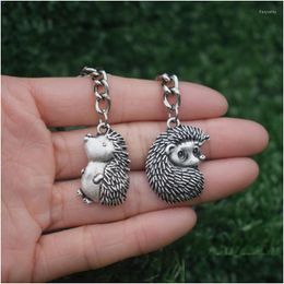 Keychains Lanyards Lovely Hedgehog Keychain Cute Animal Jewelry Accessories Gift Car Keyholderkeychains Fier22 Drop Delivery Fashion Dhpqi