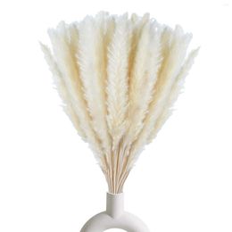 Decorative Flowers White Pampas Grass Natural Dried Branches Decor For Home Kitchen Garden Pographing Flower Arrangement Vase