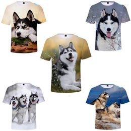 Мужские рубашки для животных собак Husky 3D Print Рубашка женщины Мужские мальчики для девочек летняя мода O-образное с коротким рукавом смешная футболка графическая футболка уличная одежда