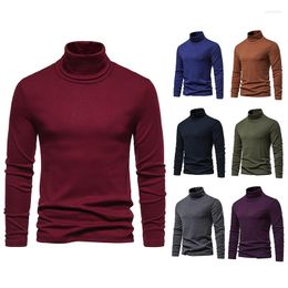 Men's Sweaters Mens Slim Solid Color Turtleneck Sweater Winter Warm Knit Classic Casual Bottoming Shirt