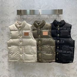 Women Puffy Vest Coat Winter Warm Sleeveless Coat Button Daily Jacket Singlet