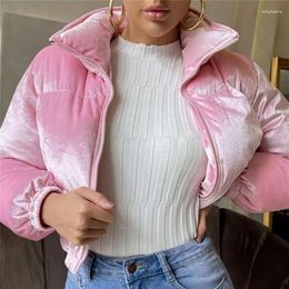 Women's Down 2023 Autumn And Winter Warm Long-sleeved Silky Soft Velvet Zipper Stand-up Collar Jacket Loose Bubble Coat Clothing