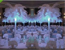 2015 New Arrival Natural White Ostrich Feathers Plume Centrepiece for Wedding Party Table Decoration ZZ