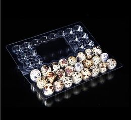 24 Holes Quail Egg Containers Plastic Egg Boxes 1000pcslotPersonal Care