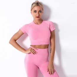 Women's Two Piece Pants 2023 Summer Yoga Seamless Top Set Tracksuit Long Trousers Tee Shirts